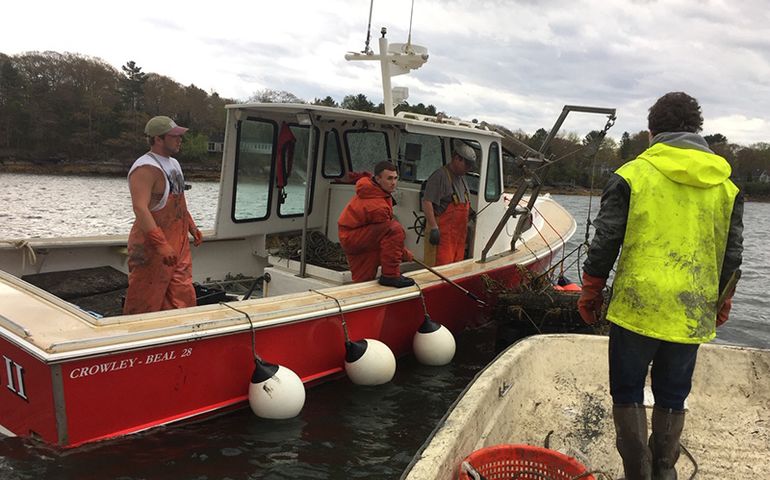 Mere Point Oyster Co.