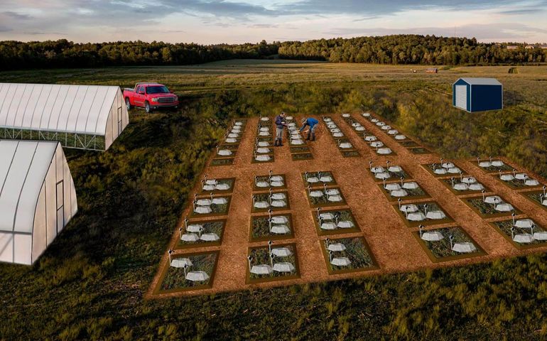 field and structures