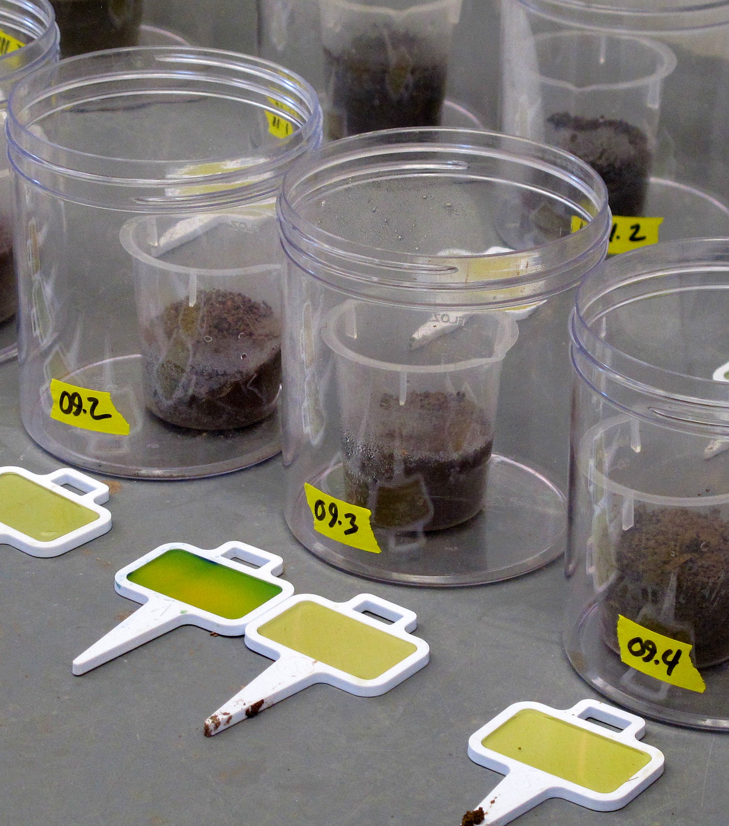 flasks with soil and instruments