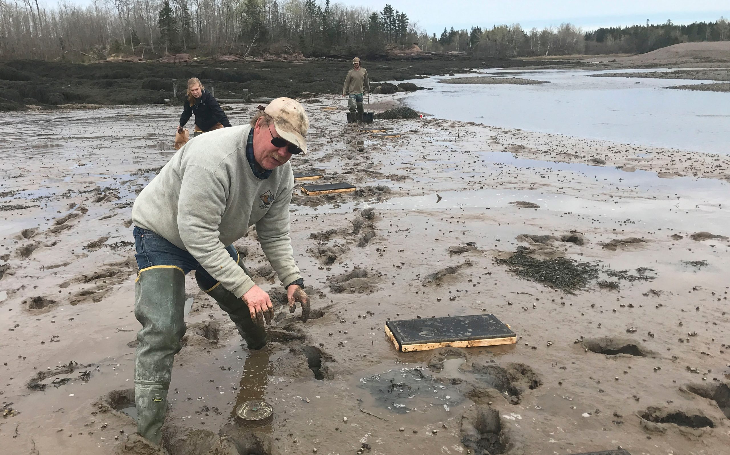 People are working on mud flats.