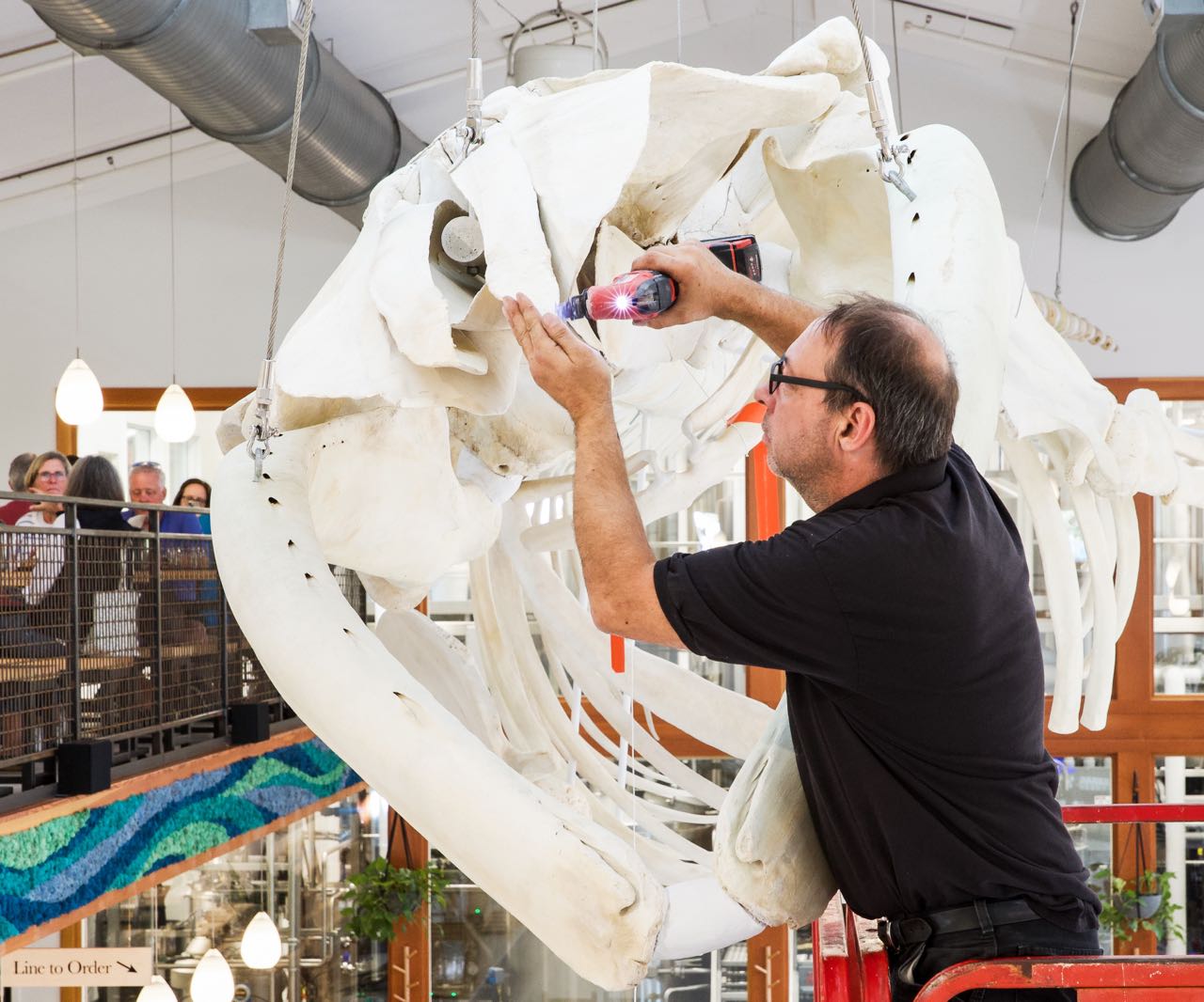 A person works with bones.