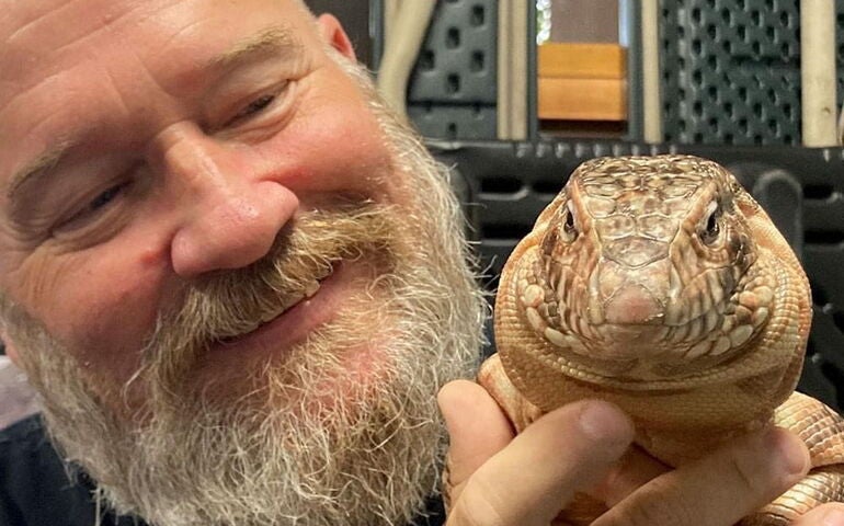 A person holds a snake.