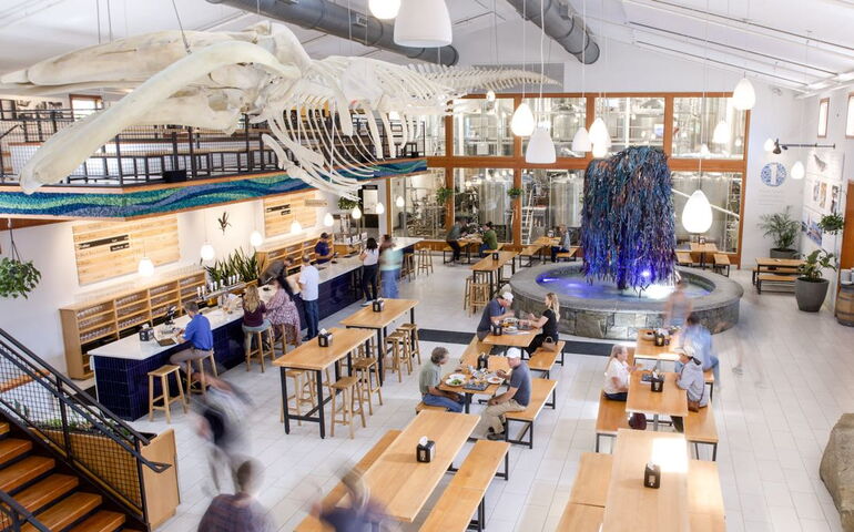 A skeleton is suspended in a large room.