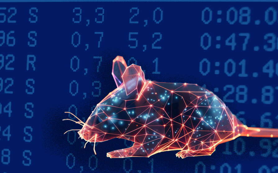 An image shows dots and lines in the shape of a mouse.