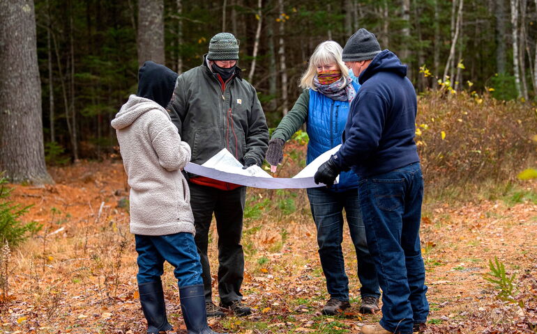 Four people look at materials while standing in the woods.