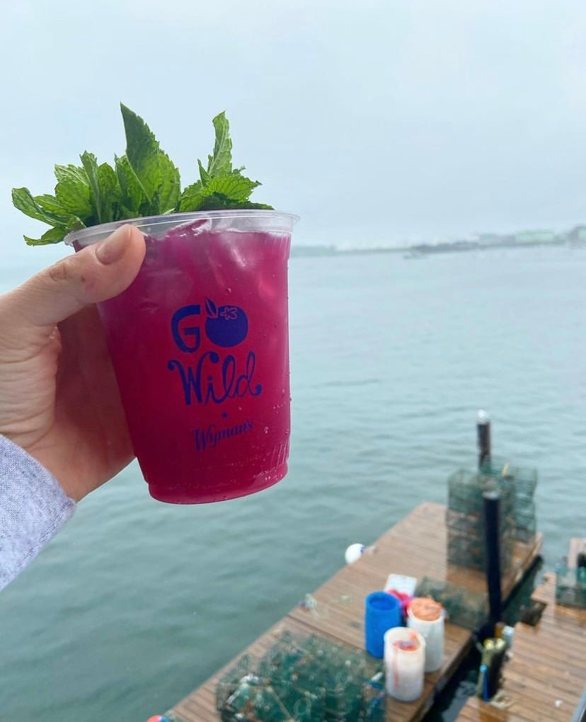 Hand holding a cocktail in a plastic cup over water and a pier with lobster traps