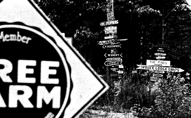 a black and white image with, close up, part of a tree farm sing and in the back two trees with dozens of homemade signs with last names, and names of lodgins and camps on them