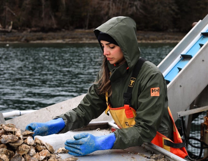 A person is on a boat with a batch of oysters.