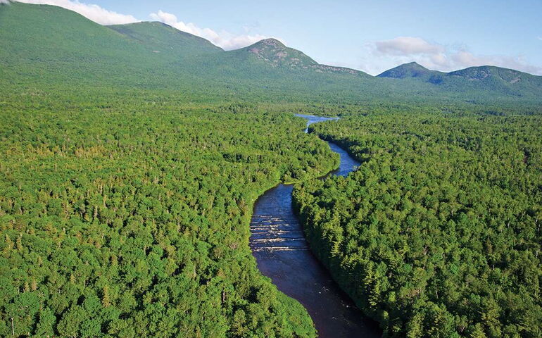 An aerial view of woods and a river.