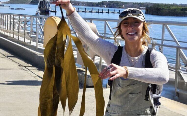 A person holds up strands of seaweed.
