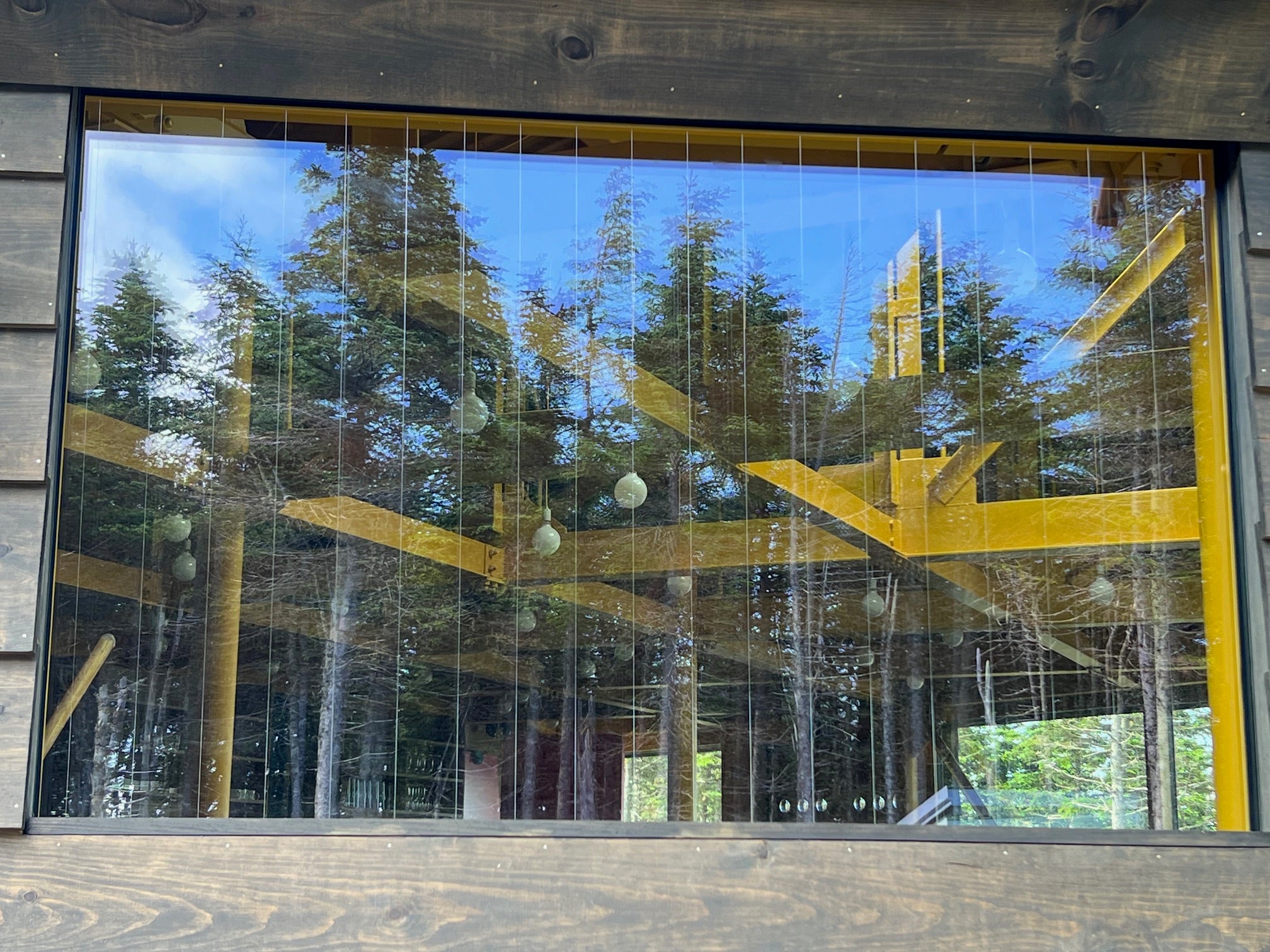 At Saddleback, the exterior of a window with a bird-safe application is shown.