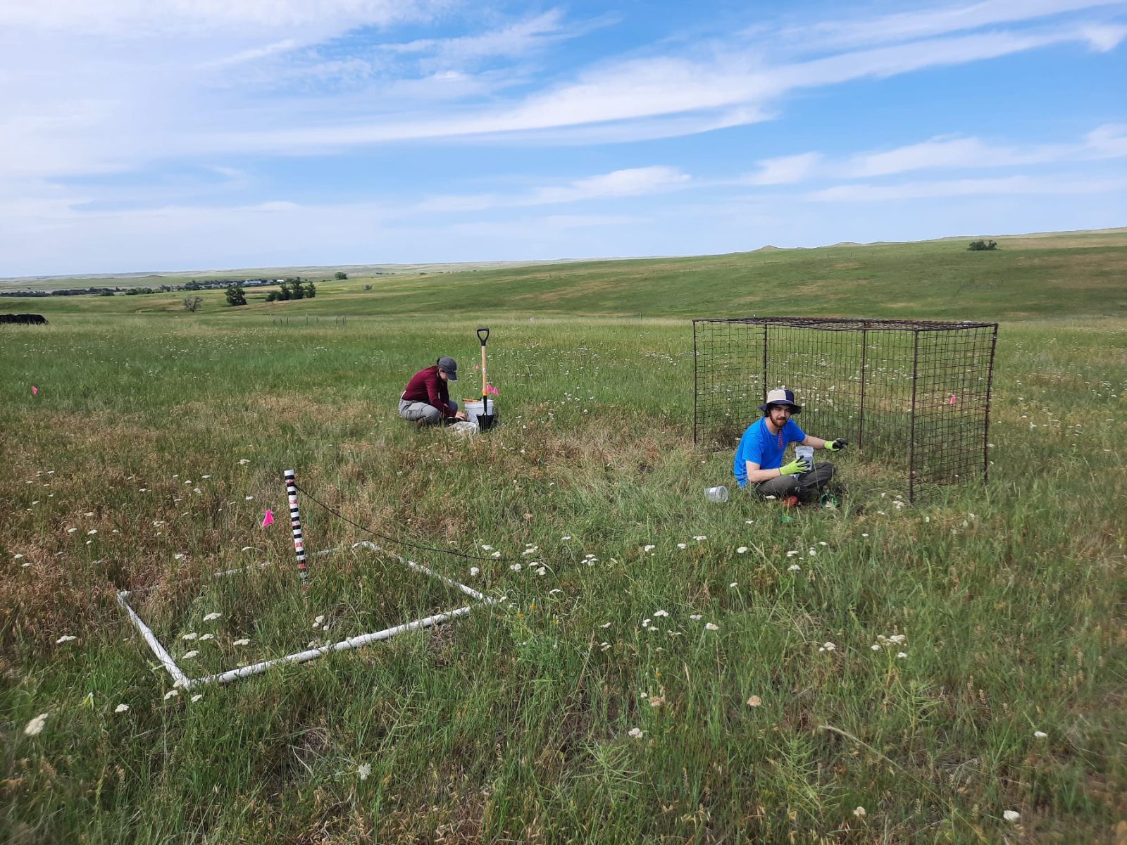 Two people are working on devices in a field.