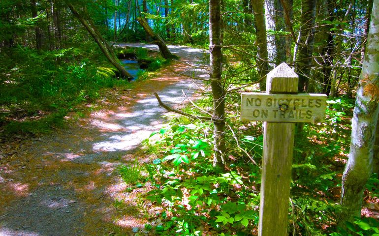 trail and wooden sign