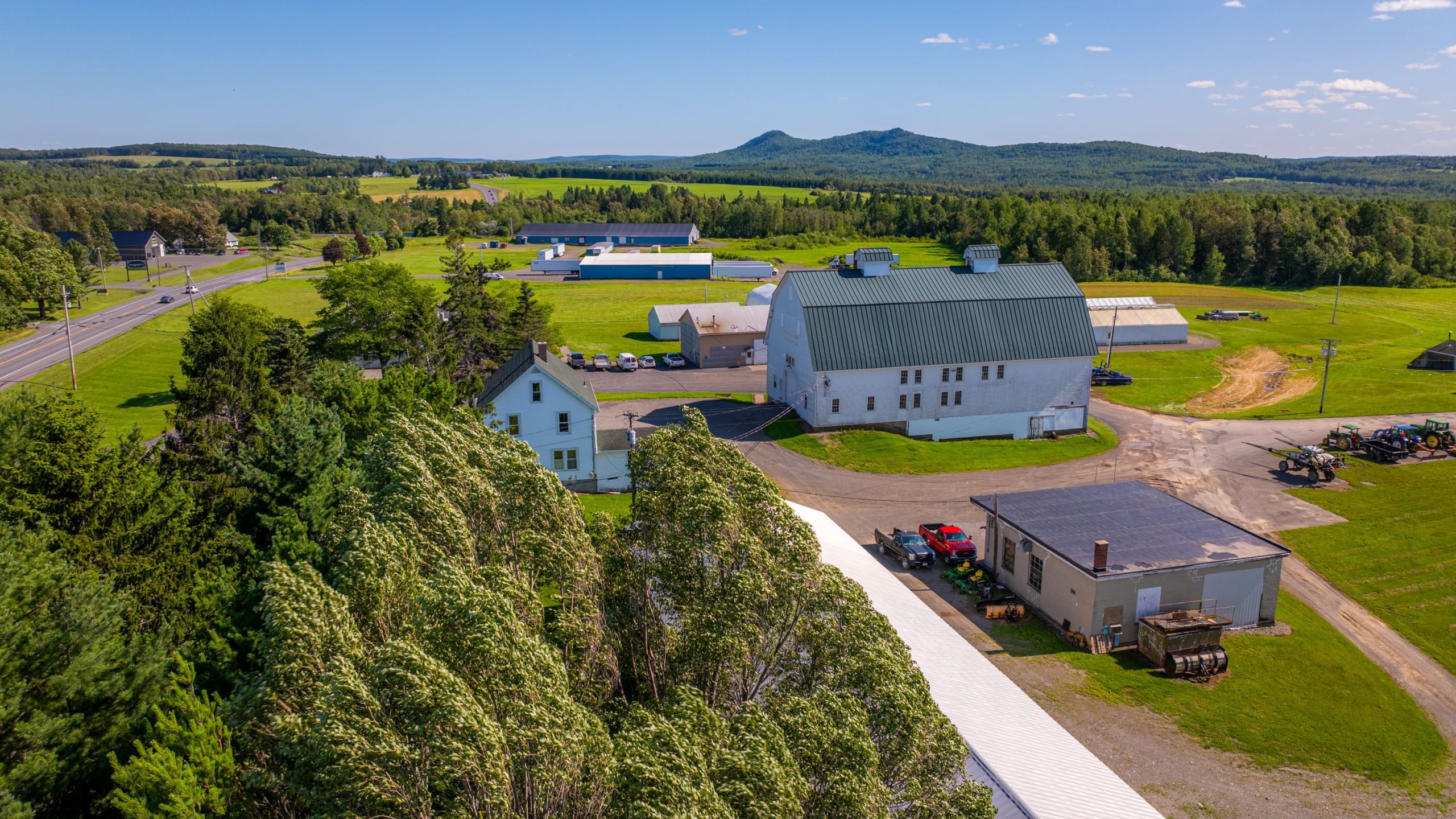 An aerial view of buildings, fields and woods