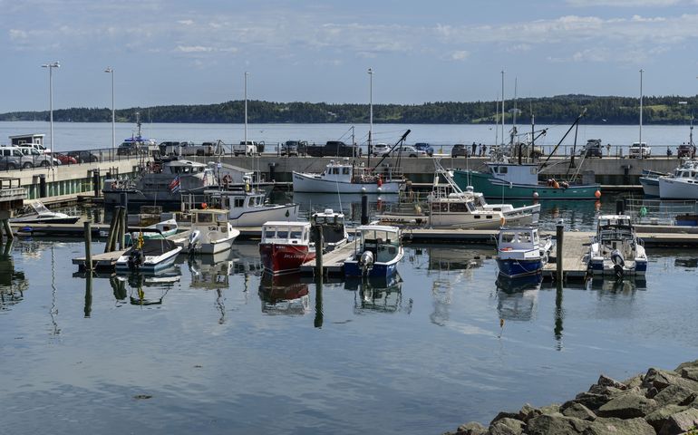 Eastport port showing boats and water