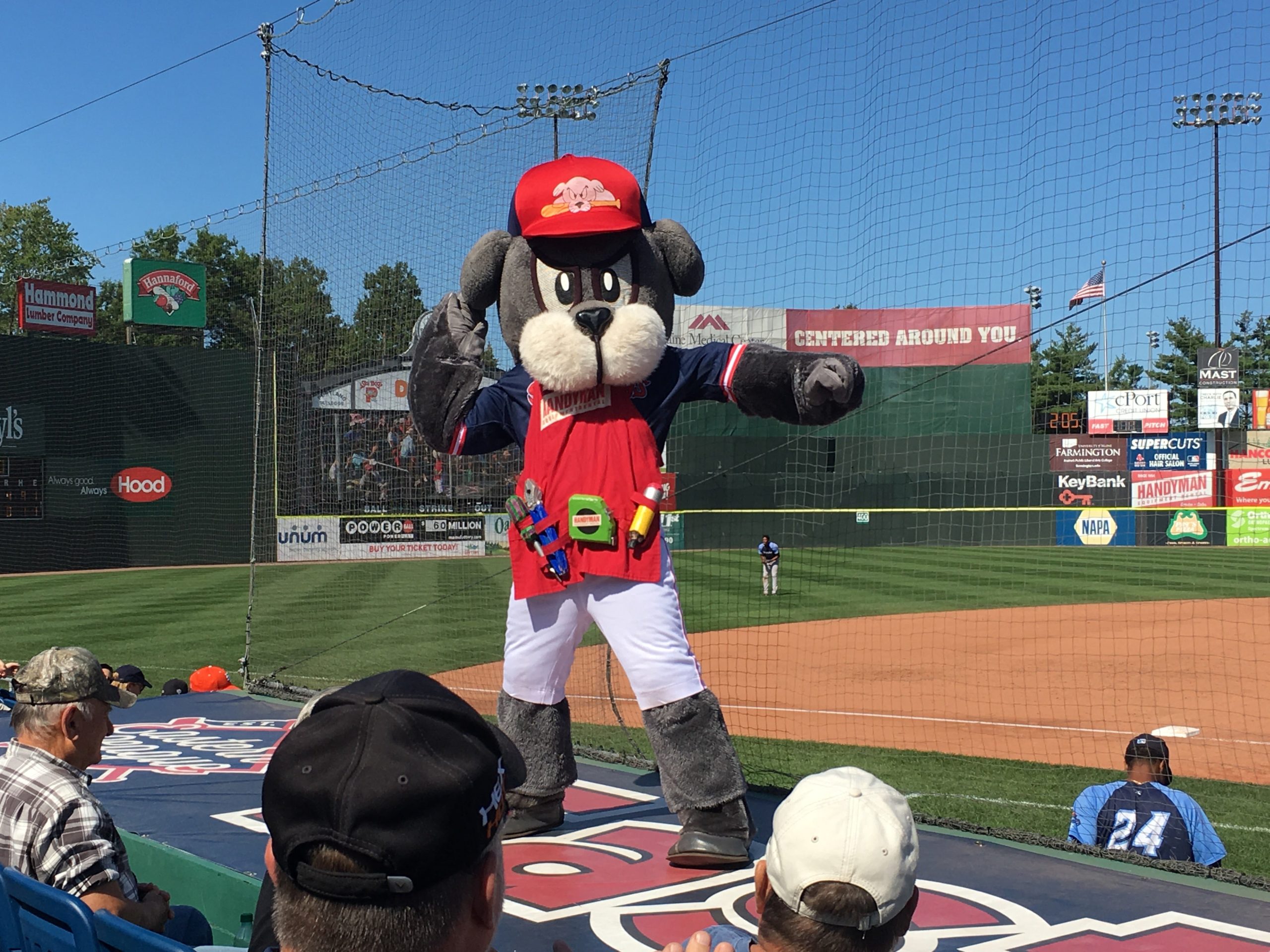 Slugger, mascot of the Portland Sea Dogs, at Hadlock field performing