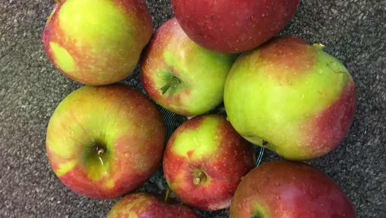 mainebiz.biz - Laurie Schreiber - Maine delegation urges USDA to deliver adequate farm relief