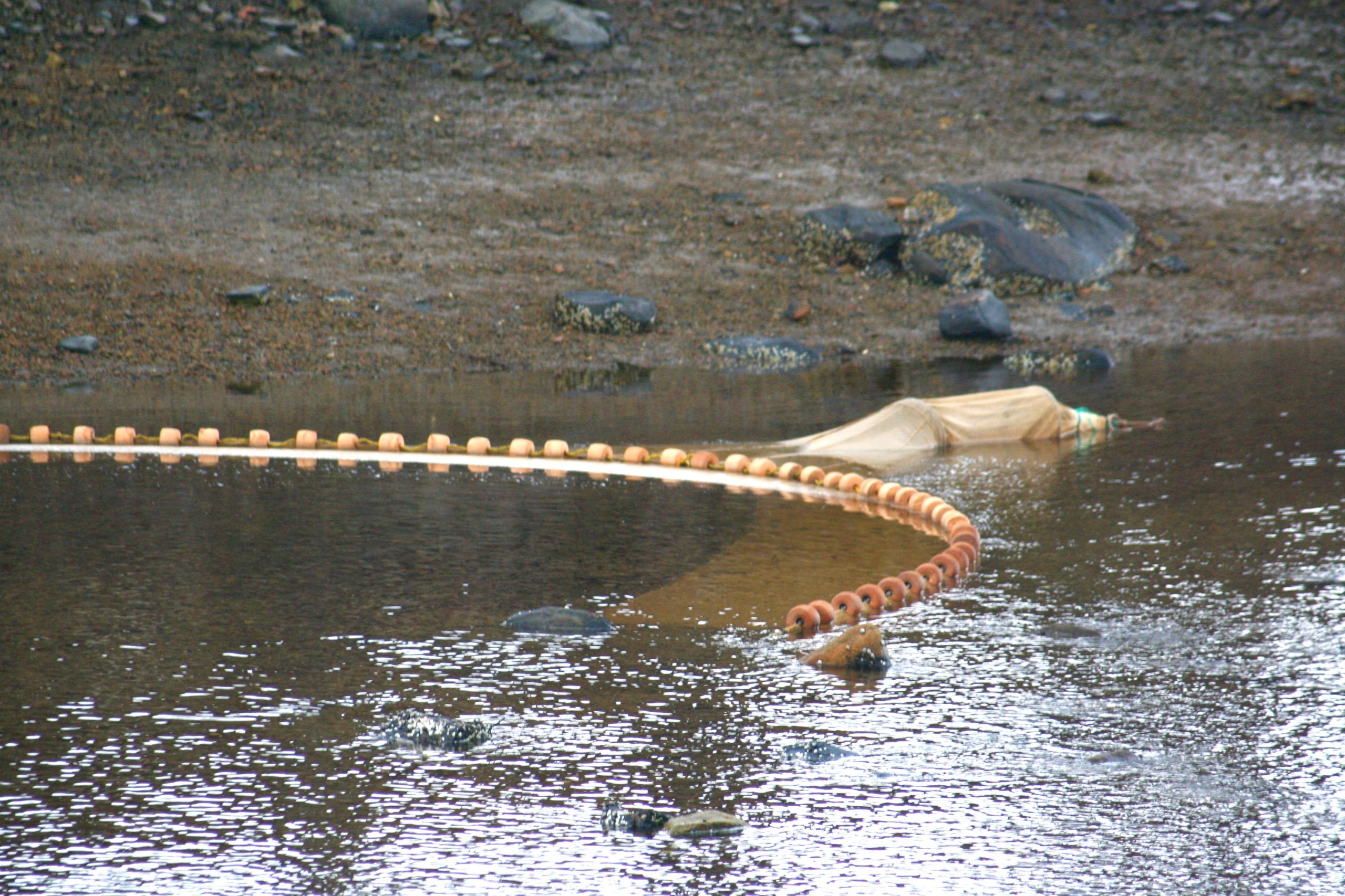 net and buoys in water
