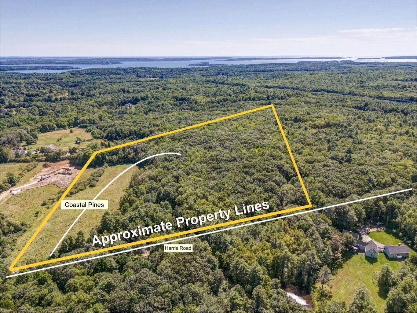 An aerial view of woods and fields with a yellow boundary line.