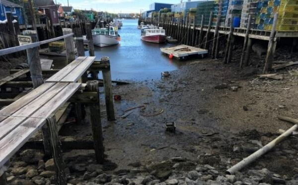 piers and boats, water and traps