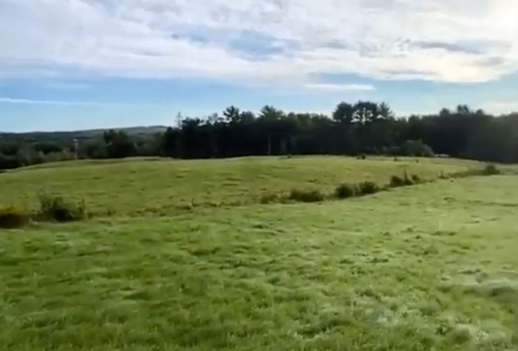 fields and woods