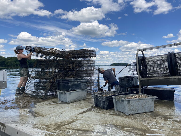 Two people works with cages by the water.