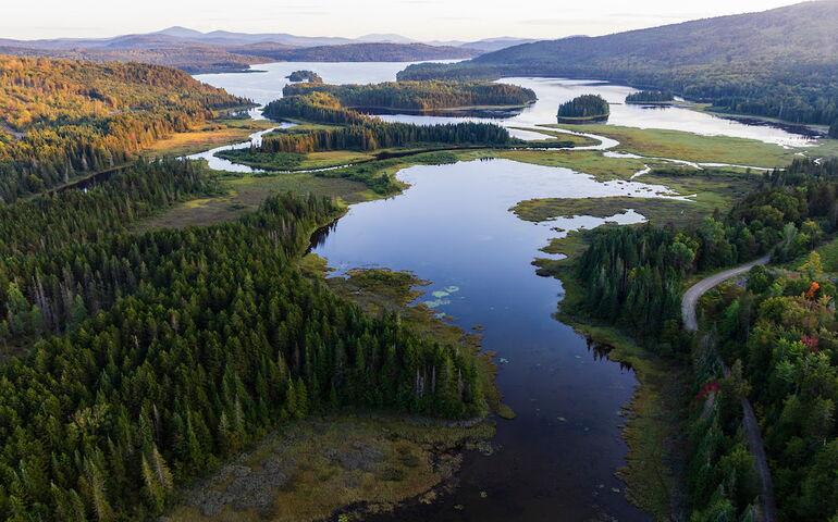 An aerial view of woods and water.