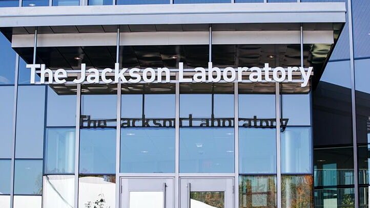 Jackson Lab forms research collaboration with pharma giant GlaxoSmithKline