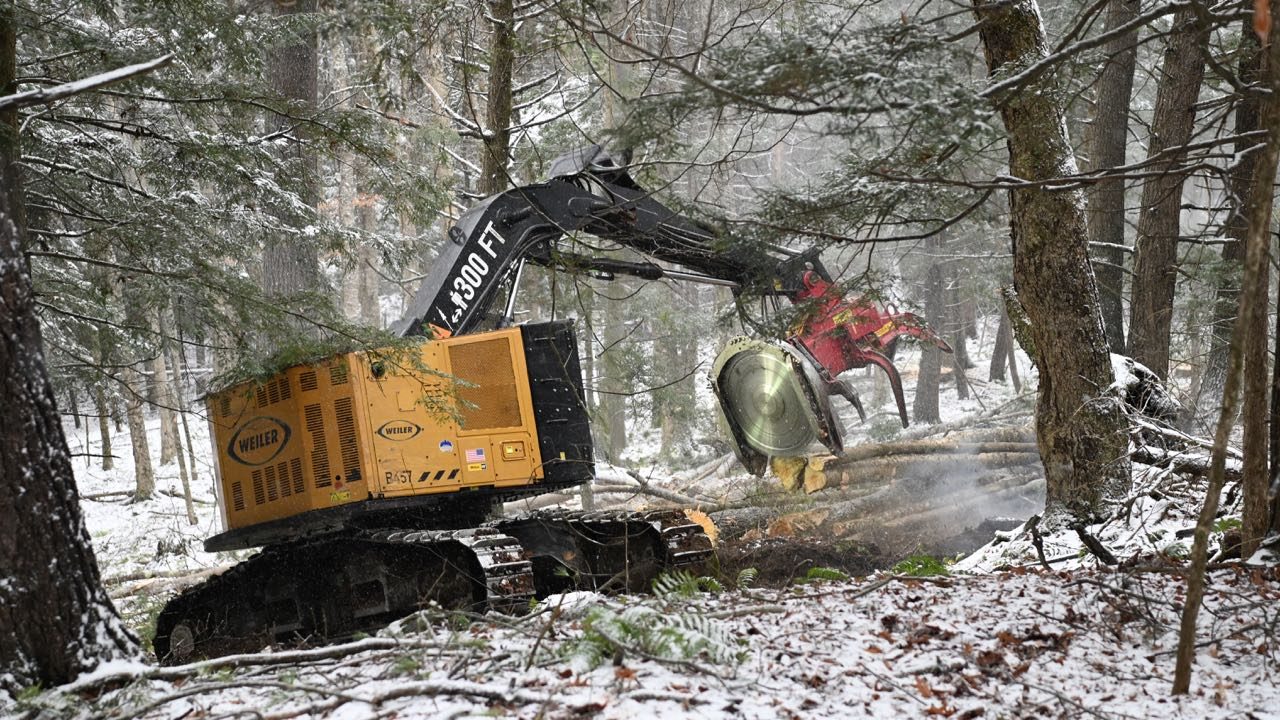 Heavy equipment works in the woods.