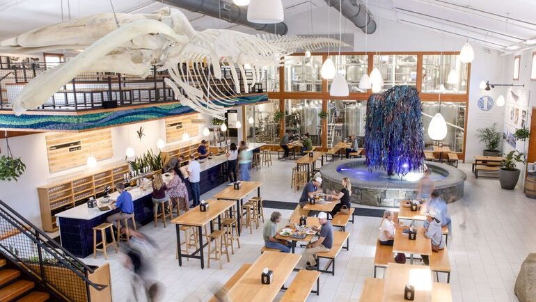 A skeleton is suspended over a room.