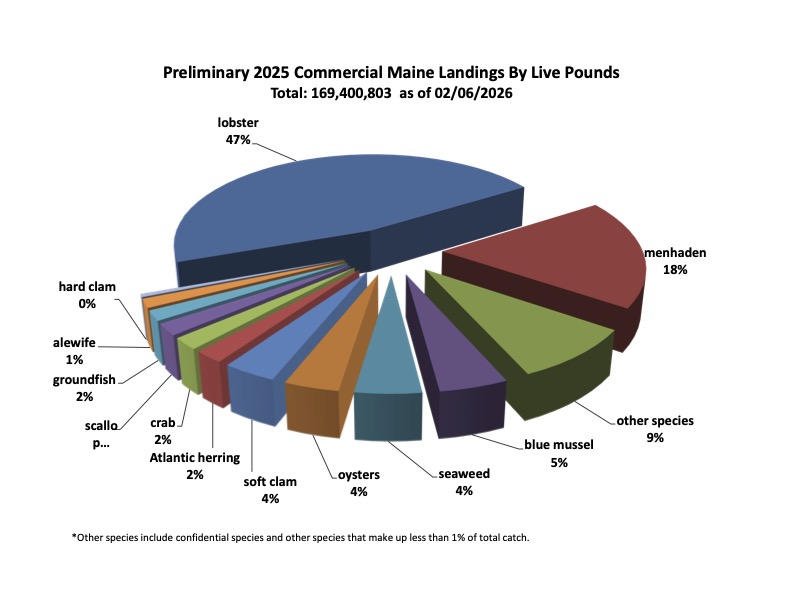 Pie chart s