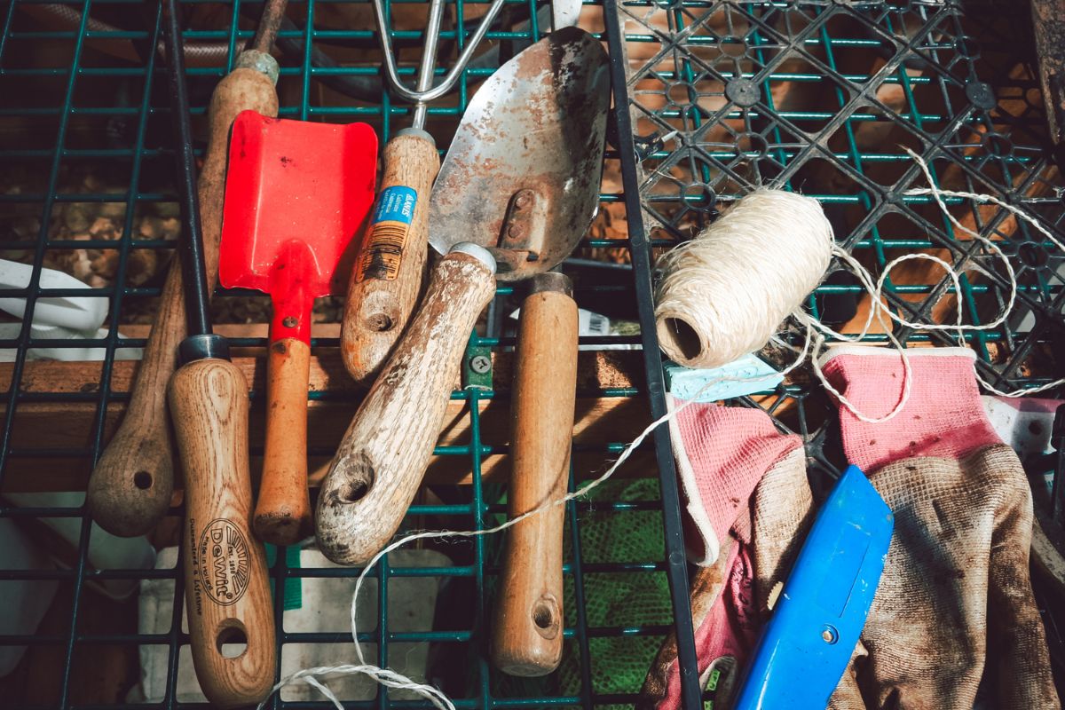 mainebiz.biz - Renee Cordes - Portland startup ties its future to crop twine with a twist