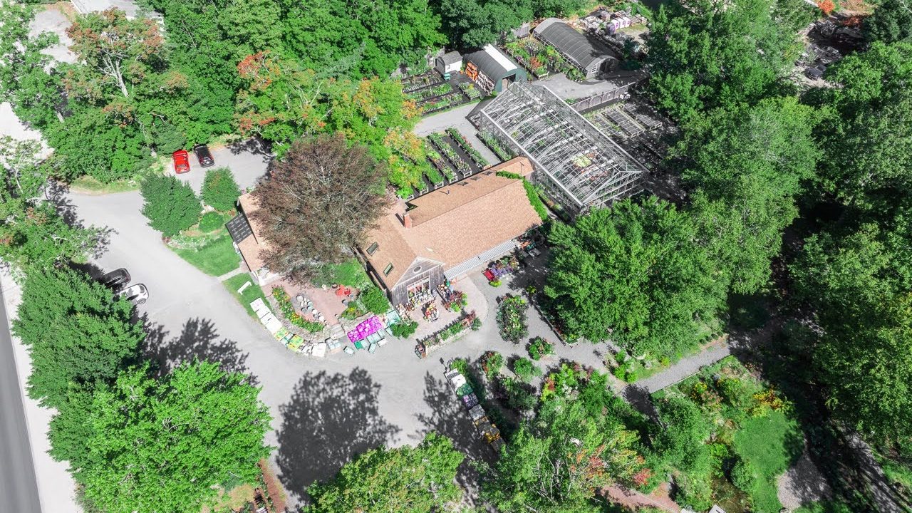 An aerial view shows buildings amid woods.