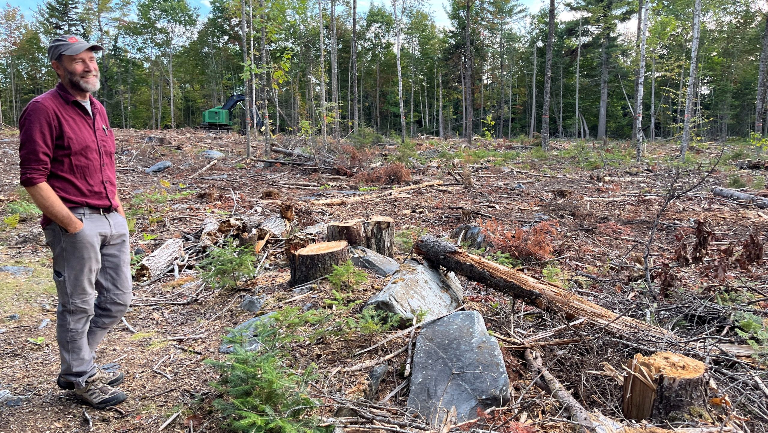 A peson stands on logged land.