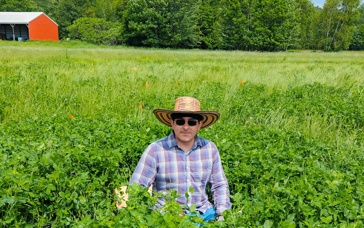 🔒Hay fever: UMaine professor helps maximize value of Maine’s hay crop