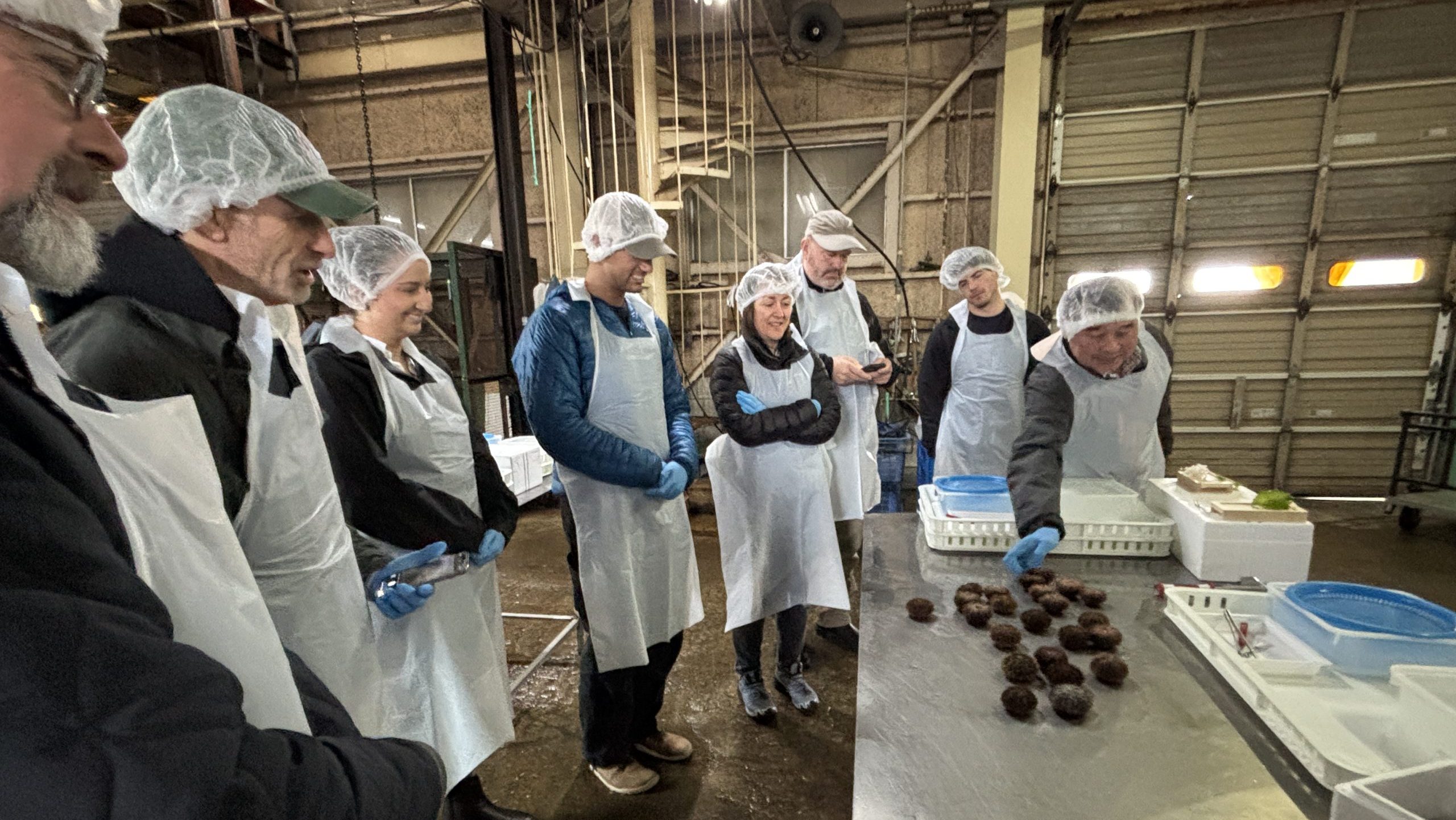 Maine taps Japan for ideas to strengthen sea urchin industry