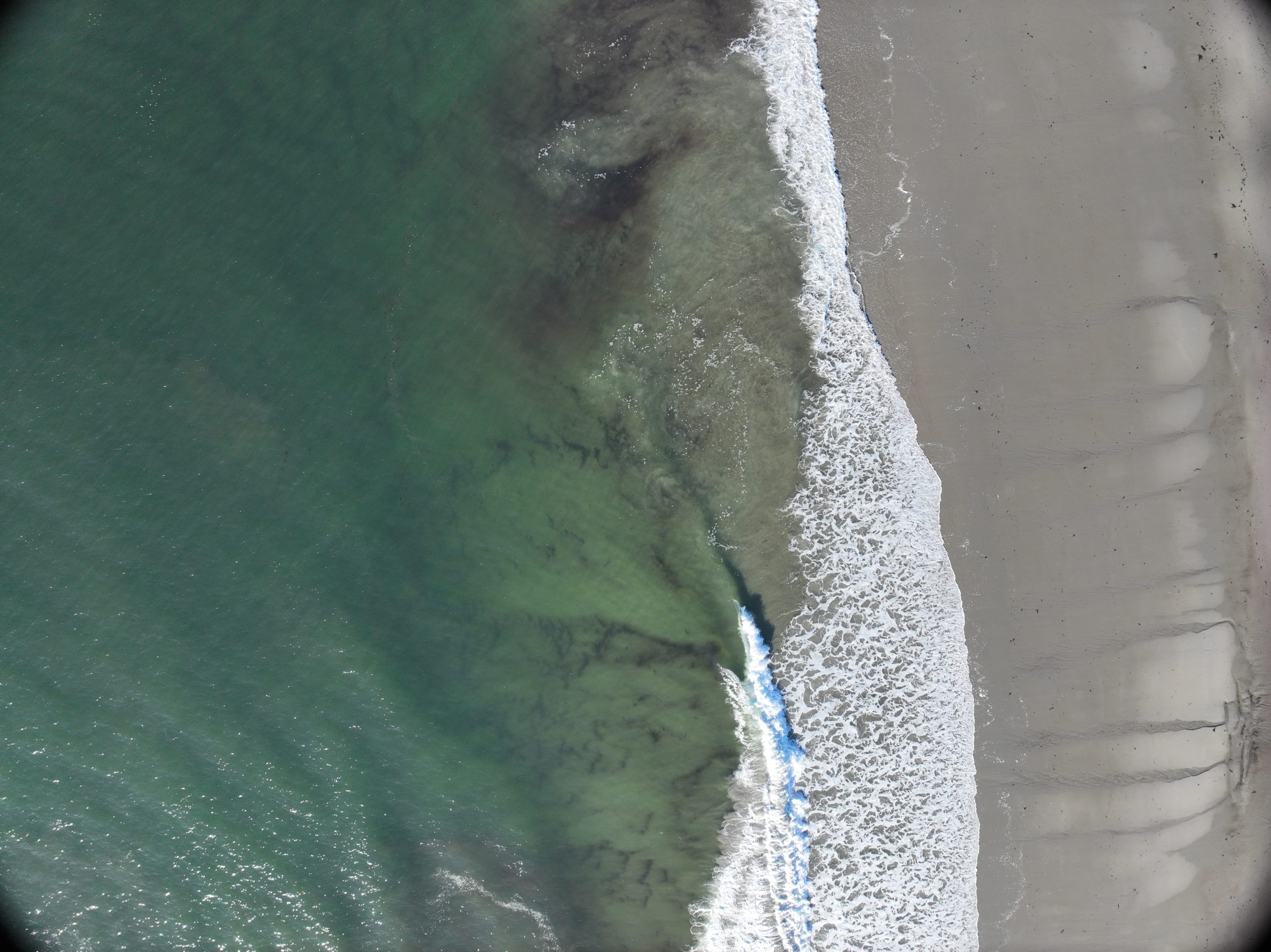 Biddeford art exhibition aims to cast ocean research in new light