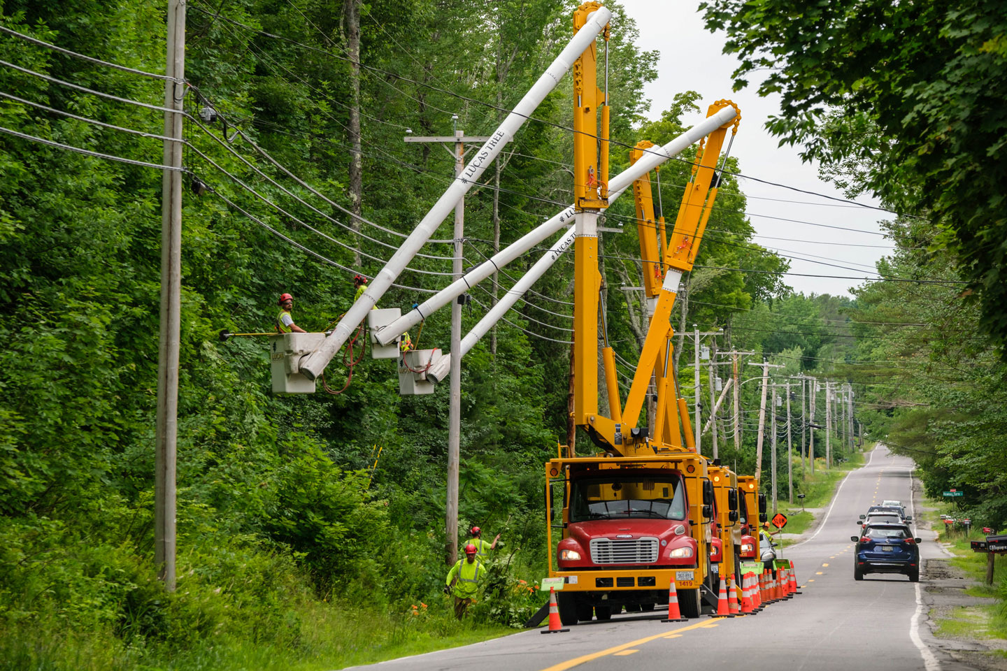 Tree services firm plants seed for research with $500K endowment