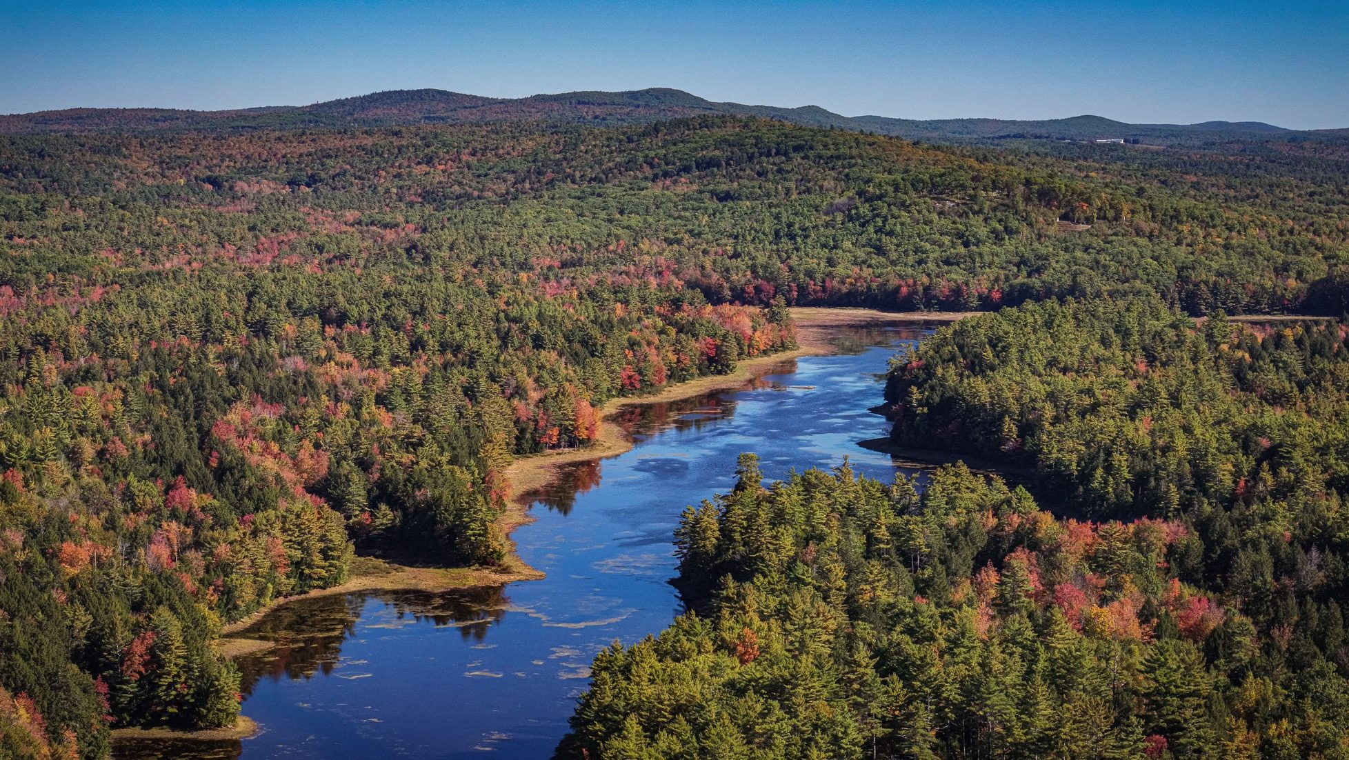 Robbins family lists Waldo County forest for $2.6M