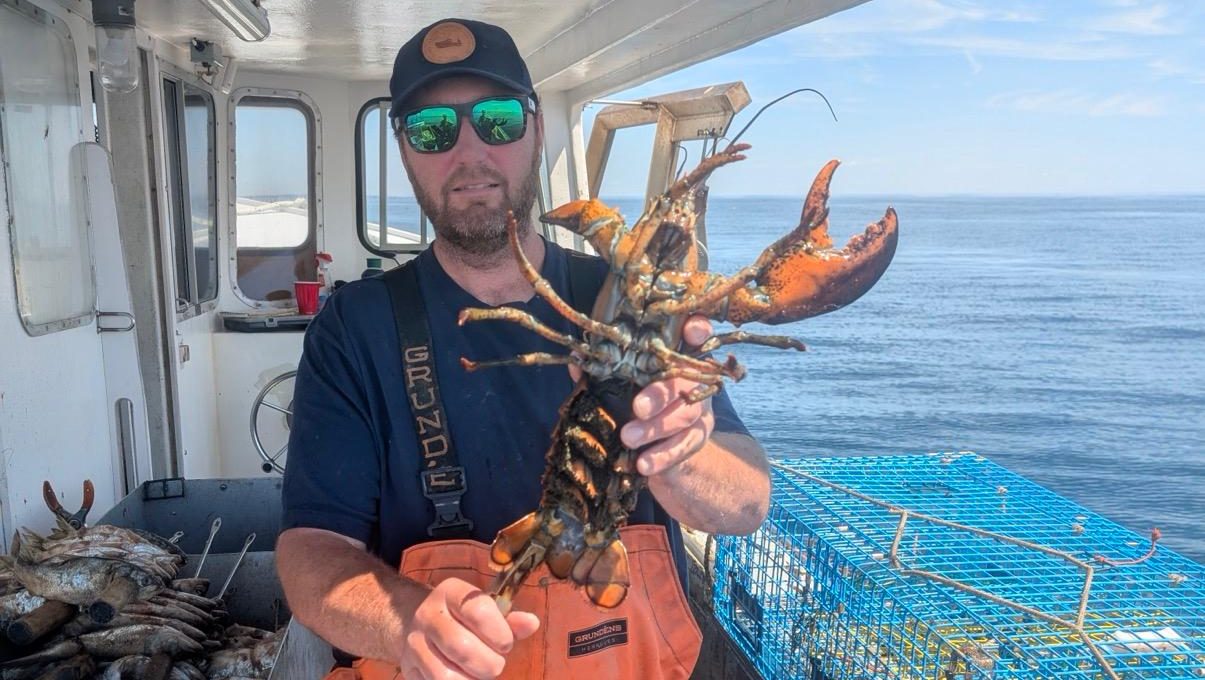A person is on a boat and holds a lobster.