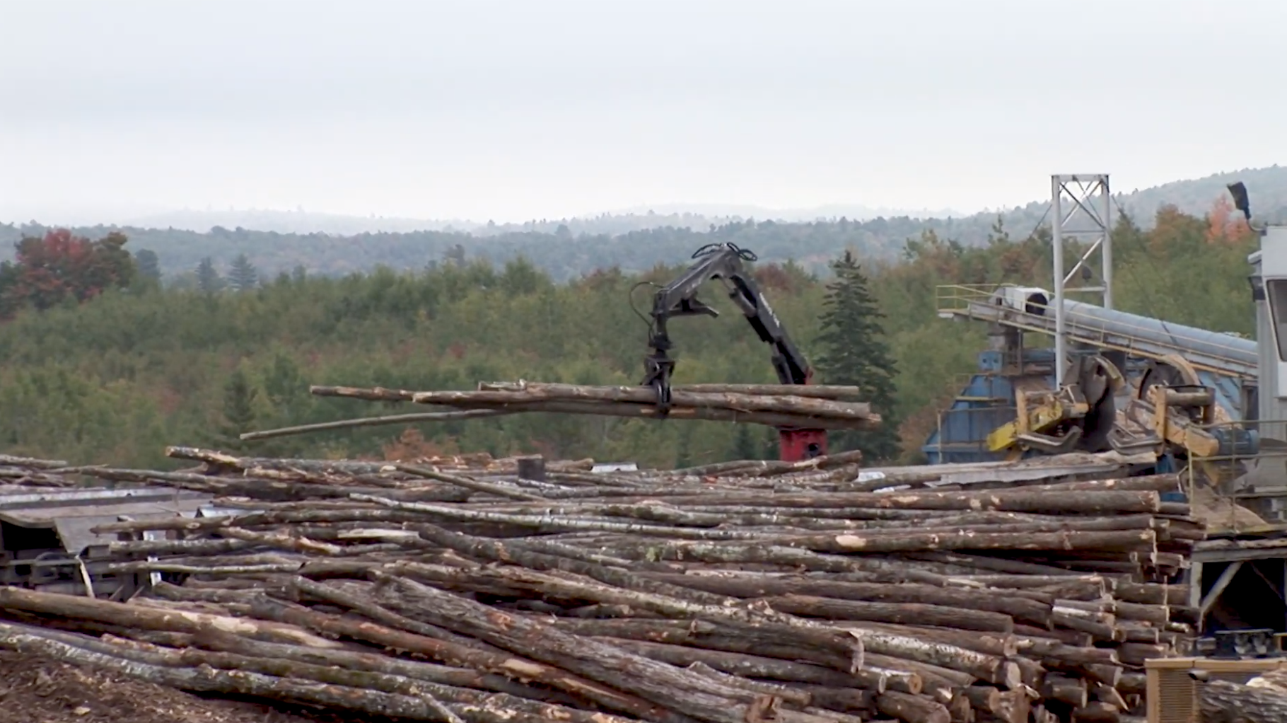Logs are laid in piles with heavy machinery.